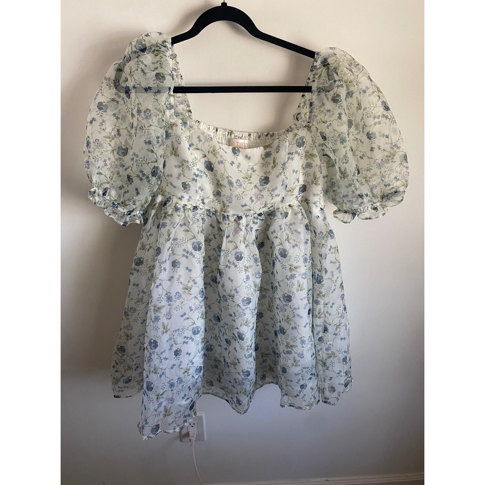 Audrey Parks Francesca's Blue Floral Organza Puff Sleeve Babydoll Top Large